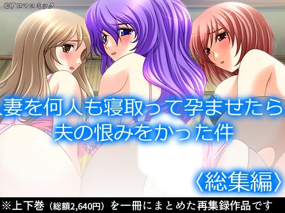 人妻を何人も寝取って孕ませたら、夫の恨みをかった件  ＜総集編＞ (同人誌)