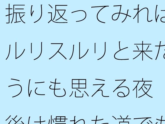 振り返ってみればスルリスルリと来たようにも思える夜  今後は慣れた道でも・・・・そしてまだまだ・・・ (同人誌)