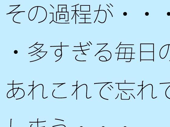 その過程が・・・・多すぎる毎日のあれこれで忘れてしまう・・・ (同人誌)