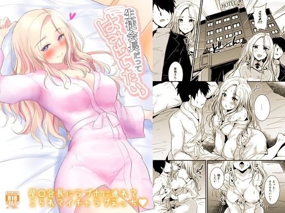 生徒会長だってはみだしたいっ (同人誌)