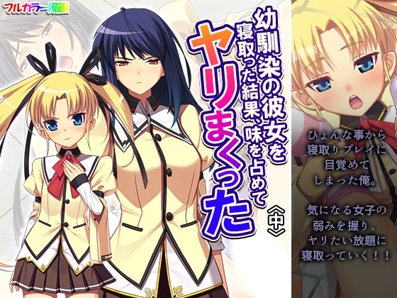 幼馴染の彼女を寝取った結果、味を占めてヤリまくった 中 (同人誌)