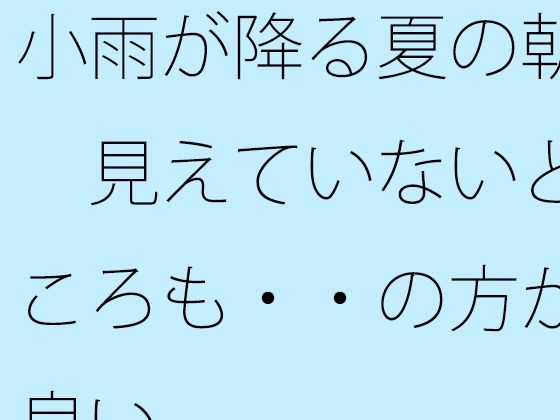 小雨が降る夏の朝  見えていないところも・・の方が良い (同人誌)