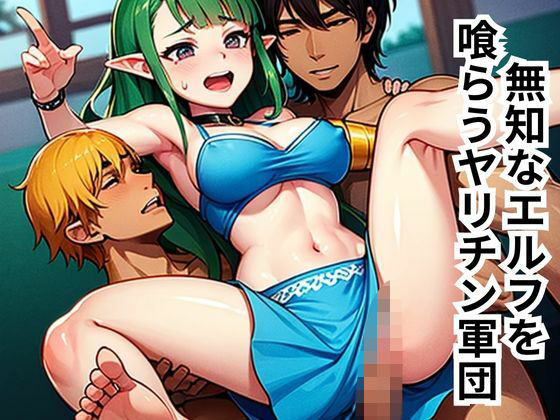 無知なエルフを喰らうヤリチン軍団 (同人誌)