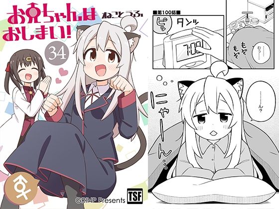 お兄ちゃんはおしまい！34 (同人誌)