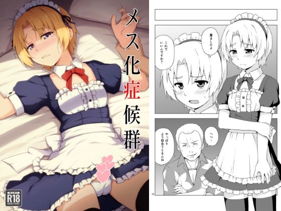 メス化症候群 (同人誌)