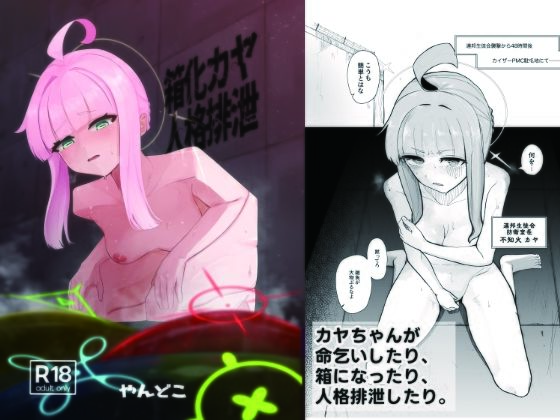 箱化カヤ人格排泄 (同人誌)