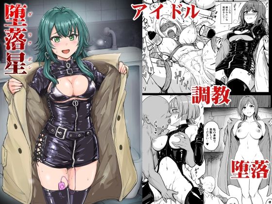 堕落星 (同人誌)