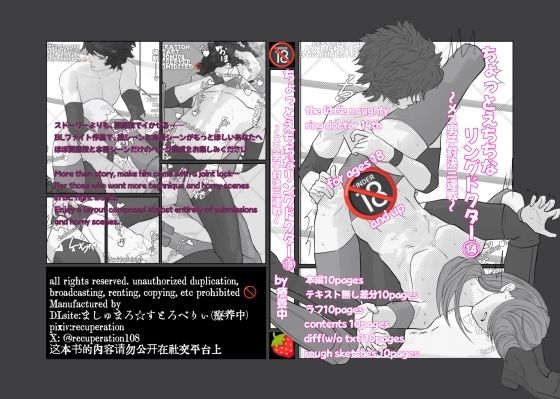 ちょっとえちちなリングドクター14 (同人誌)