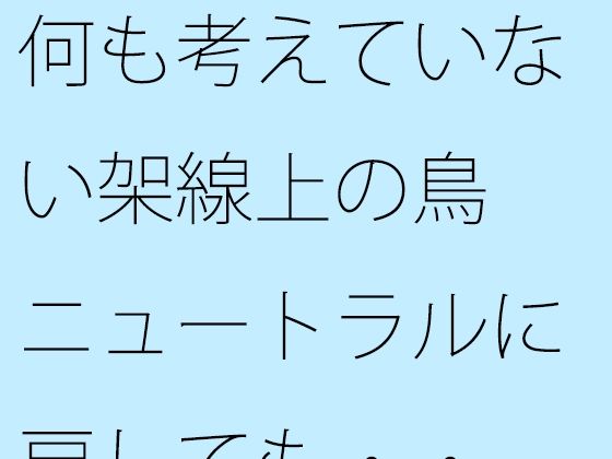 何も考えていない架線上の鳥  ニュートラルに戻しても・・ (同人誌)