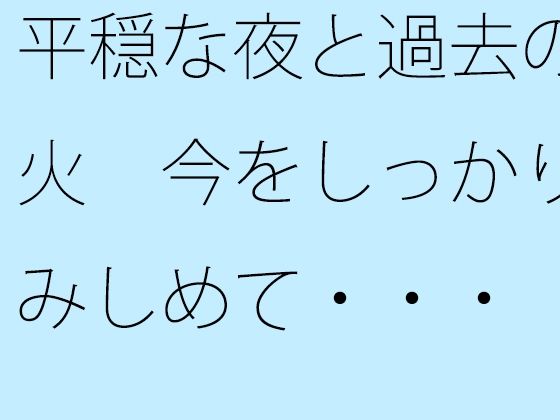 平穏な夜と過去の残り火  今をしっかりと踏みしめて・・・ (同人誌)
