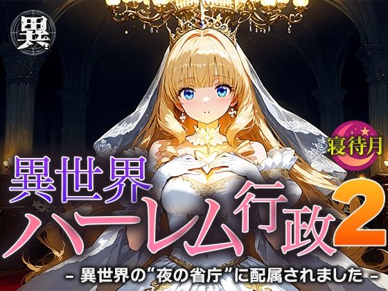 異世界ハーレム行政2―異世界の‘夜の省庁’に配属されました (同人誌)