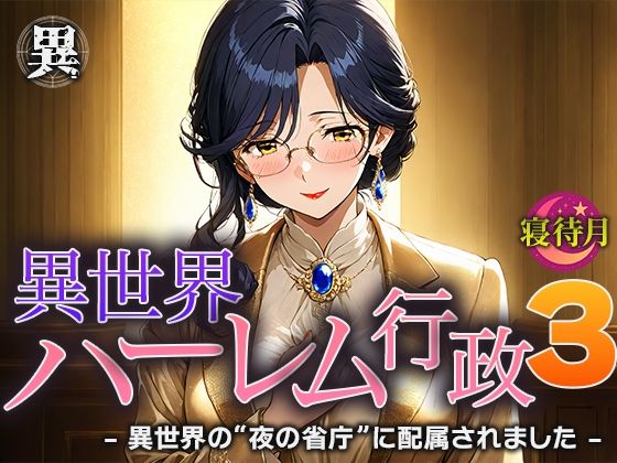 異世界ハーレム行政3―異世界の‘夜の省庁’に配属されました (同人誌)