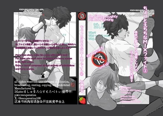 ちょっとえちちなMIXファイト2 (同人誌)