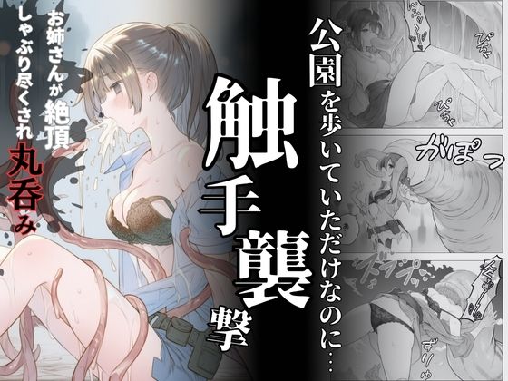 触手襲撃〜公園を歩いていただけなのに〜 (同人誌)