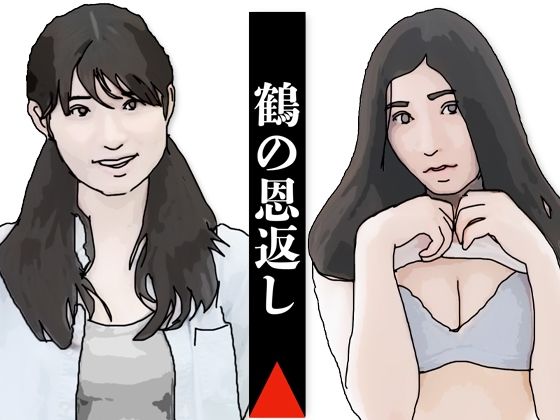 鶴の恩返し (同人誌)