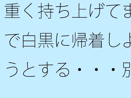 重く持ち上げてまで白黒に帰着しようとする・・・別のところに要点はあることを・・ (同人誌)