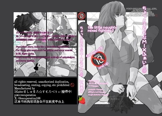 ちょっとえちちなMIXファイト3 (同人誌)