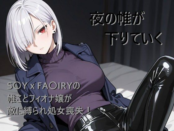 夜の帷が下りていく (同人誌)