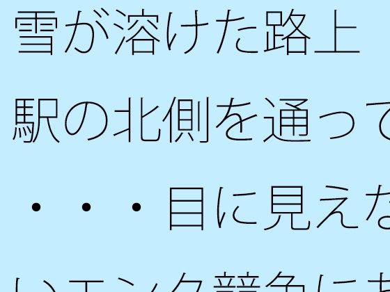 雪が溶けた路上  駅の北側を通って・・・・目に見えないエンタ競争にあっぷあっぷしながら (同人誌)