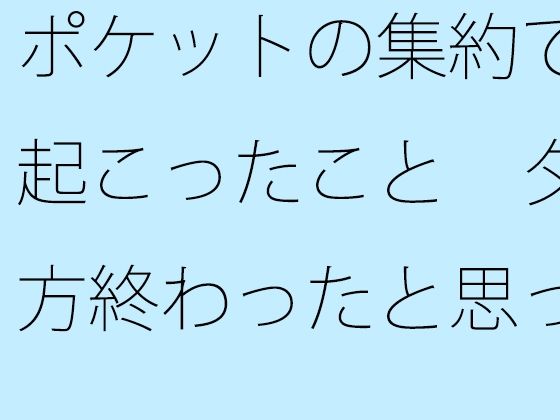 ポケットの集約で起こったこと  夕方終わったと思ったらまだそこに・・外で何があったか回想 (同人誌)