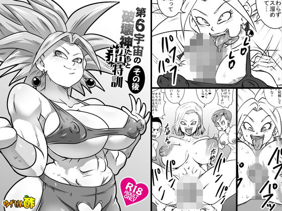 第6宇宙の破壊神たちと超特訓 その後 (同人誌)