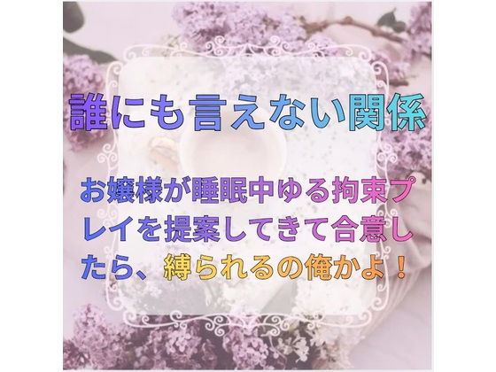 誰にも言えない関係〜財閥令嬢との背徳契約〜 (同人誌)