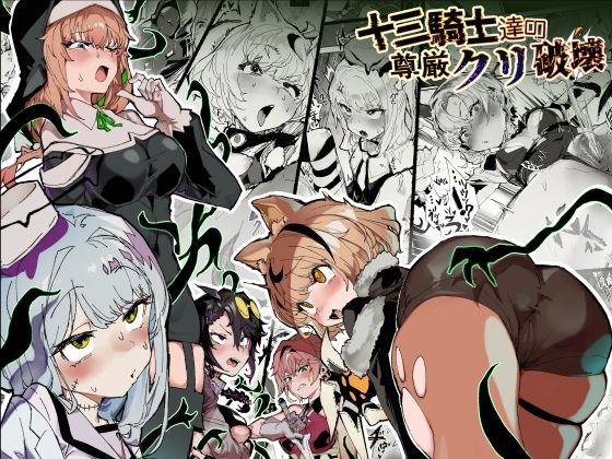 十三騎士達の尊厳クリ破壊 (同人誌)