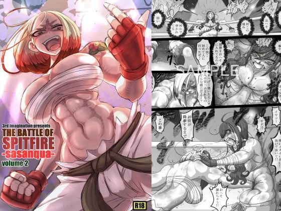 THE BATTLE OF SPITFIRE-sasanqua- volume2 (同人誌)