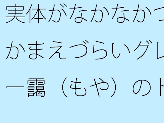 実体がなかなかつかまえづらいグレー靄（もや）のトンネルの中を  細微が問題になる (同人誌)