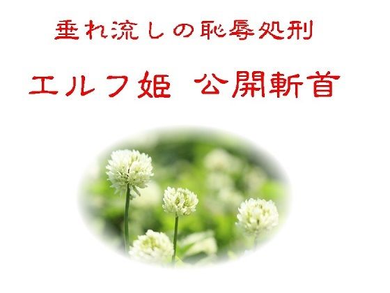 垂れ流しの恥辱処刑エルフ姫公開斬首 (同人誌)