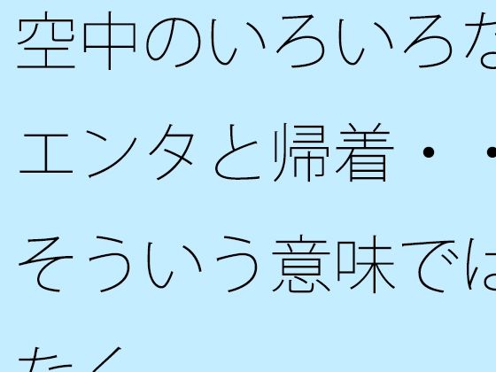 空中のいろいろなエンタと帰着・・そういう意味ではなく (同人誌)