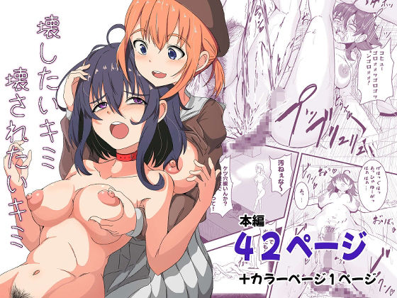 壊したいキミ  壊されたいキミ (同人誌)