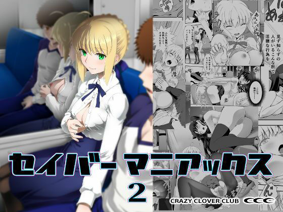 セイバーマニアックス2 (同人誌)