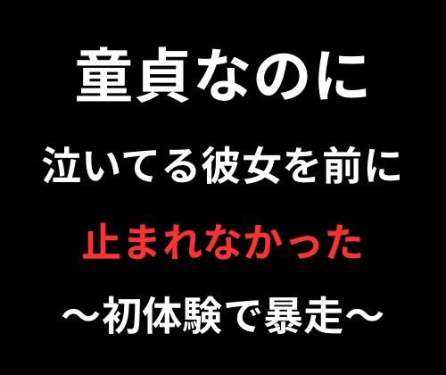 童貞なのに、泣く彼女を前に止まれなかった (同人誌)