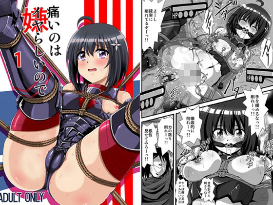 痛いのはイヤらしいので1 (同人誌)