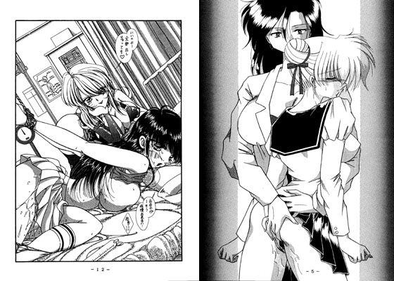 濃縮保健室 (同人誌)