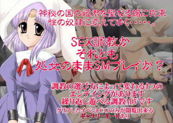 美姫処女調教 2 (同人誌)