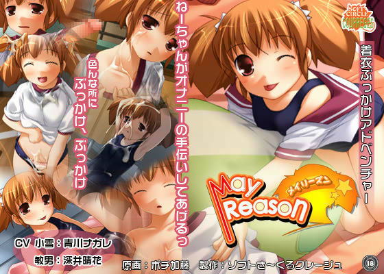 May Reason (同人誌)