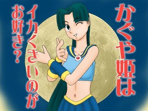 かぐや姫はイカくさいのがお好き？ (同人誌)