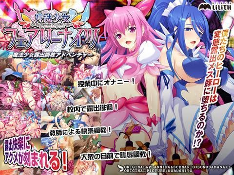 魔法少女フェアリーナイツ (同人誌)