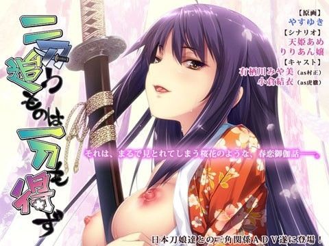 二刀追うものは一刀も得ず (同人誌)