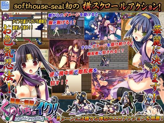 華麗に悩殺♪ くのいちがイク！ 〜桃色ハレンチ忍法帳〜 (同人誌)