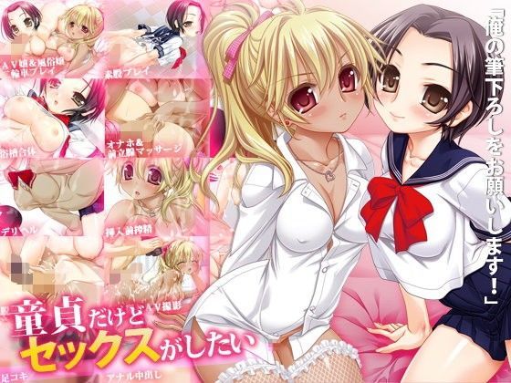 童貞だけどセックスがしたい (同人誌)