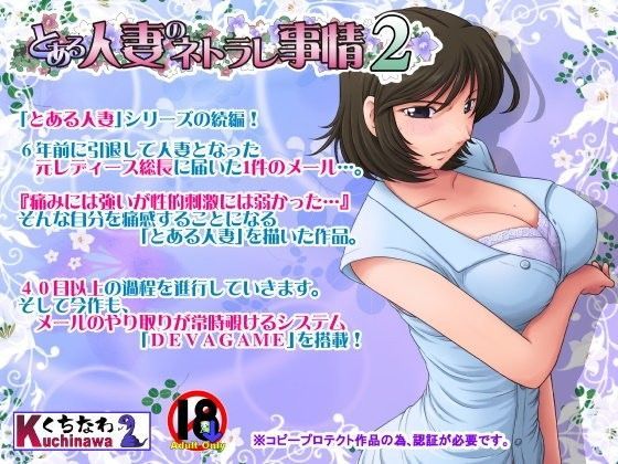 とある人妻のネトラレ事情2 (同人誌)