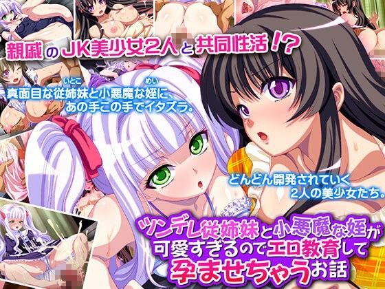 ツンデレ従姉妹と小悪魔な姪が可愛すぎるので、エロ教育して孕ませちゃうお話 (同人誌)