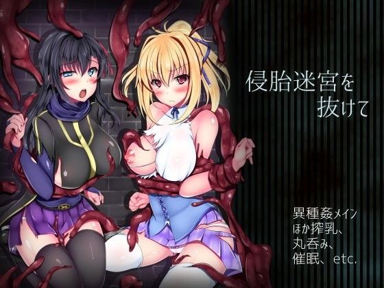 侵胎迷宮を抜けて (同人誌)