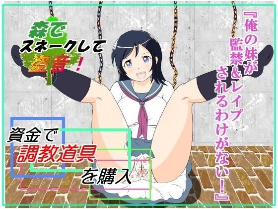 ★☆エロRPG『俺の妹が、監禁＆レ○プされるわけがない』 (同人誌)