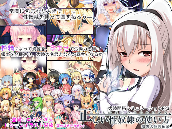 正しい性奴●の使い方-暗黒大陸開拓記- (同人誌)