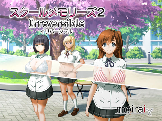 スクールメモリーズ2 Irreversible (同人誌)