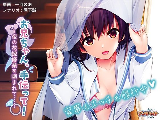 お兄ちゃん、手伝って！〜夜の花嫁修業を頼まれて…〜 (同人誌)